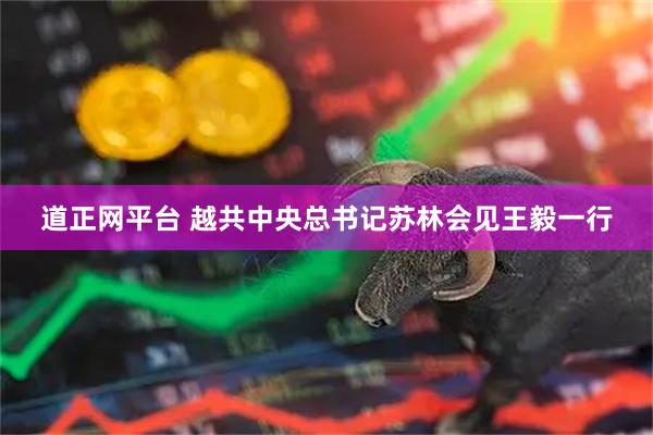 道正网平台 越共中央总书记苏林会见王毅一行