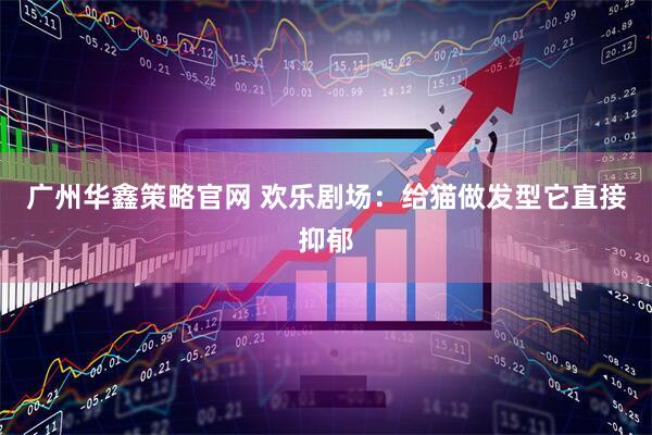 广州华鑫策略官网 欢乐剧场：给猫做发型它直接抑郁