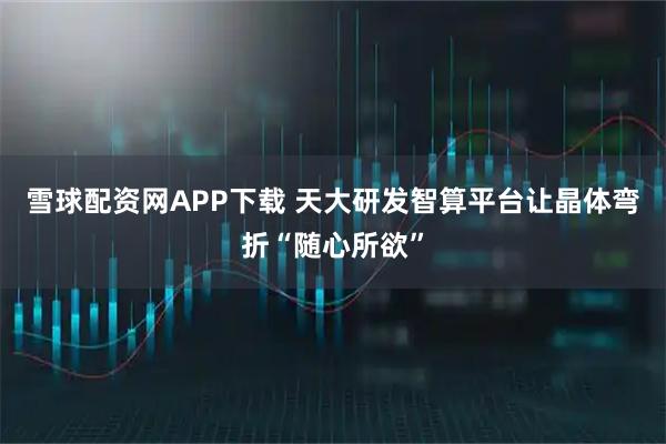 雪球配资网APP下载 天大研发智算平台让晶体弯折“随心所欲”